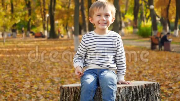 慢动作视频快乐的微笑和笑的男孩坐在树桩上向树桩投掷黄色和橙色的叶子视频的预览图