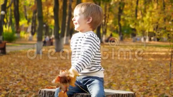 慢动作视频快乐的微笑幼儿男孩坐在树桩在公园和投掷秋天的叶子视频的预览图