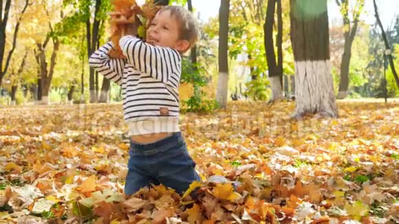 快乐小男孩坐在秋天公园的草地上吐出黄色和红色的树叶的慢镜头视频的预览图