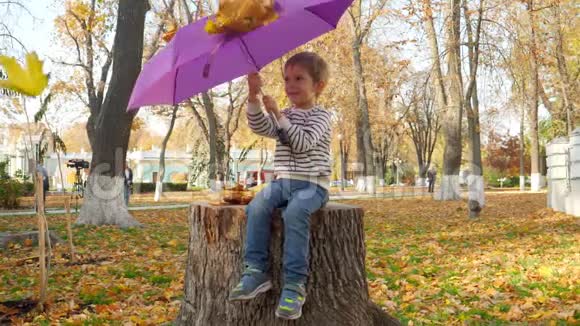 黄色和红色秋叶落在小男孩手里拿着伞坐在树桩上的慢镜头视频的预览图