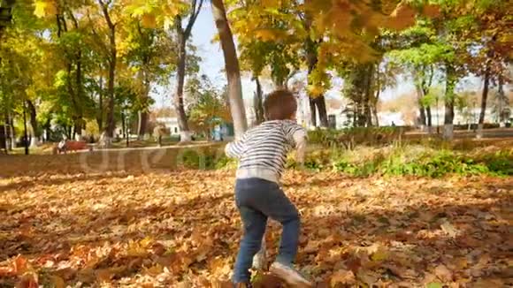快乐的小男孩在秋日公园玩绕着黄叶树跑的慢镜头视频的预览图