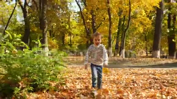 4k视频快乐微笑4岁男孩在秋天公园跑步视频的预览图