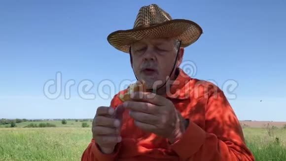 农夫在树荫下坐在夏天的田野上一边愉快地吃着馅饼视频的预览图