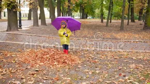 秋天公园雨后带着雨伞在落叶上散步的快乐微笑男孩视频视频的预览图