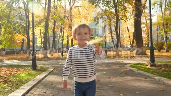 4k视频快乐微笑的幼儿男孩抱着黄色苹果树叶在公园里奔跑看着镜头视频的预览图