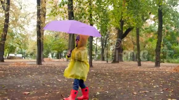 4K慢动作视频穿着雨衣和橡胶惠灵顿靴子的小男孩在秋天公园带着雨伞散步视频的预览图