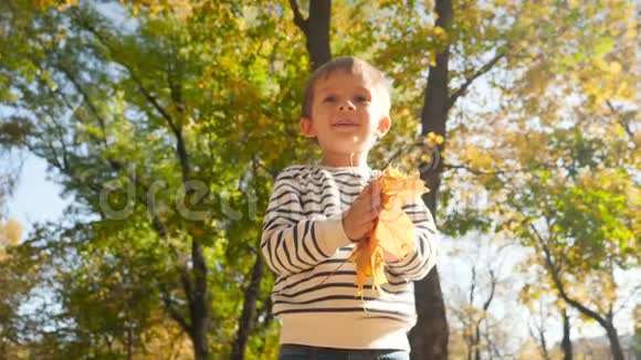 4k视频快乐微笑的小男孩在镜头中投掷秋假跳得很高视频的预览图