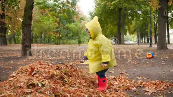 4k慢动作视频穿着雨衣和惠灵顿靴子的快乐小男孩向雨后落叶投掷视频的预览图
