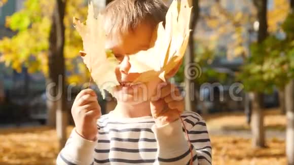 4k视频快乐微笑的幼儿男孩拿着两片黄色的叶子对着脸对着镜头看公园视频的预览图
