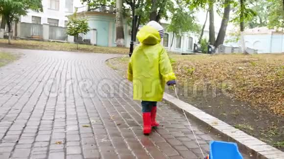 4k视频小男孩穿着红色橡胶靴和黄色雨衣雨后带玩具卡车在秋天公园散步视频的预览图