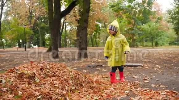4k视频快乐快乐的小男孩穿着橡胶靴和雨衣在秋天的落叶堆里跳跃视频的预览图