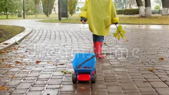 4k小男孩雨后在公园散步用绳子拉玩具卡车的特写视频视频的预览图