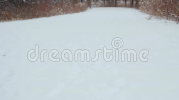 男人和女人在雪地里接吻视频的预览图