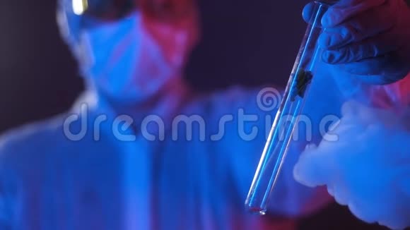 霓虹蓝实验室研究员液氮的实验视频的预览图