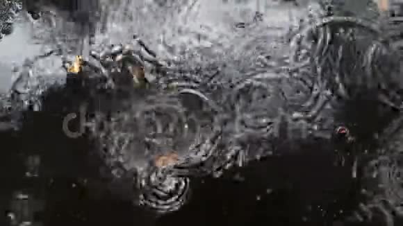 雨滴在黑暗的雨天的水坑里荡漾视频的预览图