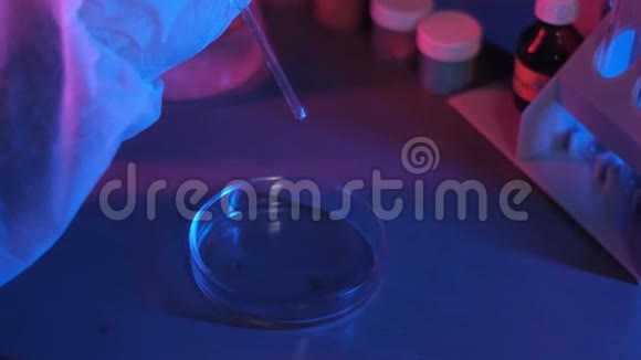 实验室研究人员用霓虹灯将样品从吸管滴入培养皿中视频的预览图