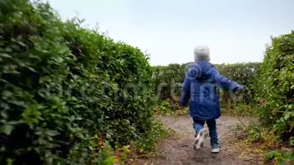 4k视频公园里美丽的灌木丛组成的迷宫里小男孩从镜头前跑开视频的预览图