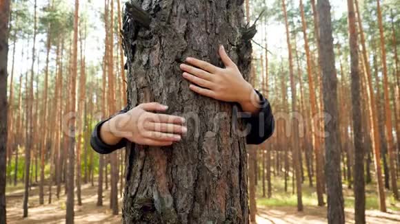 森林中年轻女子拥抱和舒缓大树的视频人们热爱和保护自然的观念视频的预览图
