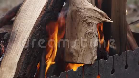 烧炭的柴火烧烤架特写木头烧在烤架里火把烤架里的树包住了视频的预览图