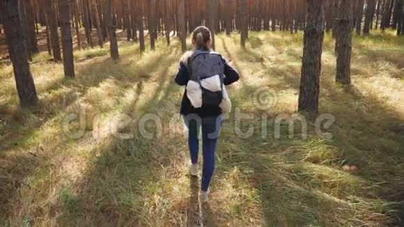 在阳光明媚的一天空中4k摄像机在年轻女子身后飞行徒步旅行者在森林中散步和徒步旅行视频的预览图
