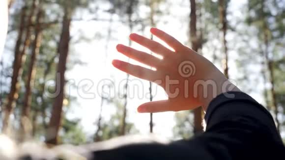 在森林刮风的日子里阳光透过女性的手和手指照射视频的预览图