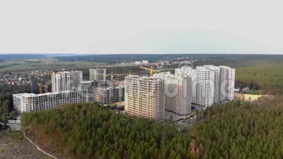 在森林里建造一座城市视频的预览图