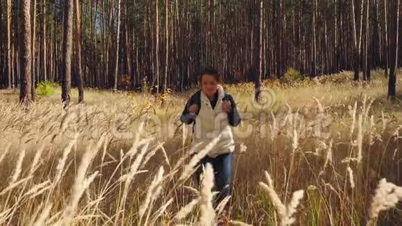 4K调调镜头年轻女子带着背包徒步穿越森林穿过高大的草地视频的预览图