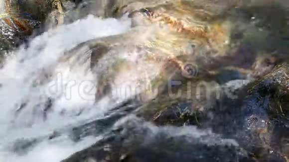 河流中水流的细节视频的预览图
