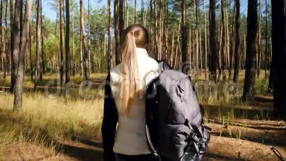 4k后视视频年轻女性徒步旅行者背包行走在路径在秋季森林视频的预览图