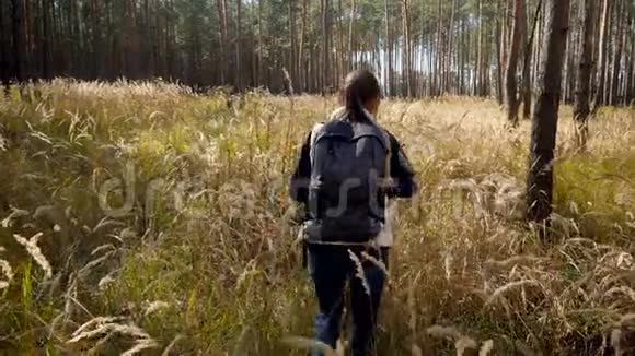 在阳光明媚的一天一位带着大背包在森林里徒步旅行的美丽年轻女子的4k视频视频的预览图