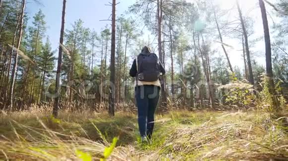 4K慢动作视频从低点开始年轻女子在森林中徒步旅行在穿过大草甸的小路上行走视频的预览图