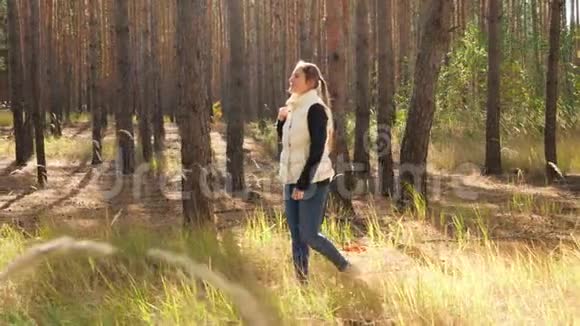 4k视频美丽的微笑女子徒步旅行背包在秋天的森林和看生长高杉树视频的预览图
