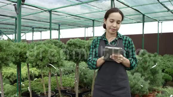 在温室里用平板电脑工作的女农民视频的预览图