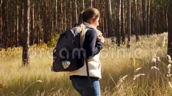 秋季森林中年轻女性徒步旅行者在小径上行走的4k视频视频的预览图