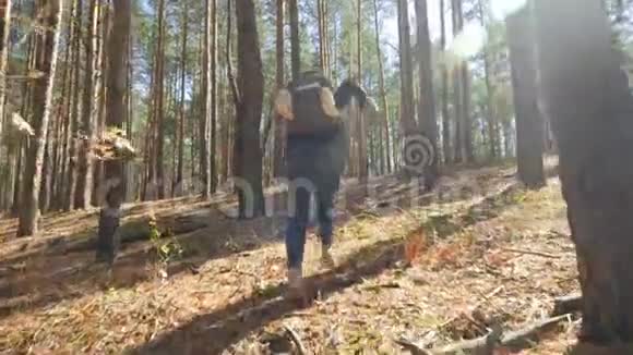 4kPOV镜头疯狂追逐背着背包在森林里逃跑的年轻女子视频的预览图