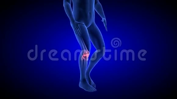 膝盖疼痛动画蓝色人体解剖机构三维扫描渲染视频的预览图