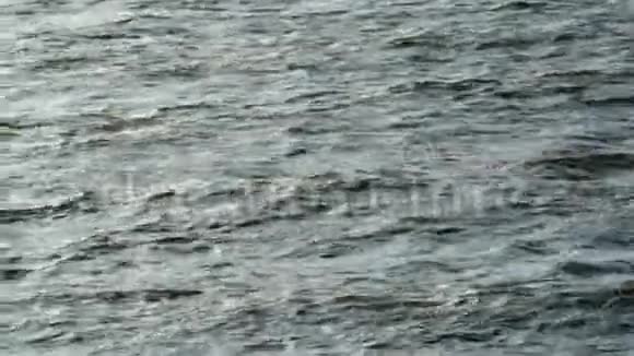 北海黑水视频的预览图