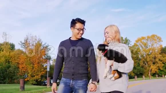 和他心爱的狗一起快乐多种族夫妇和他的狗在公园里散步高加索女人带着视频的预览图