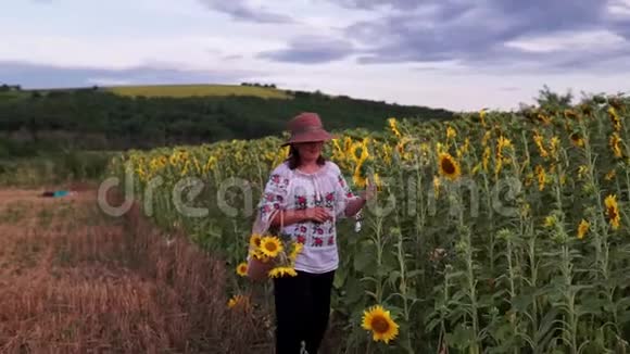 戴着帽子的年轻美女带着高大的向日葵穿过田野视频的预览图