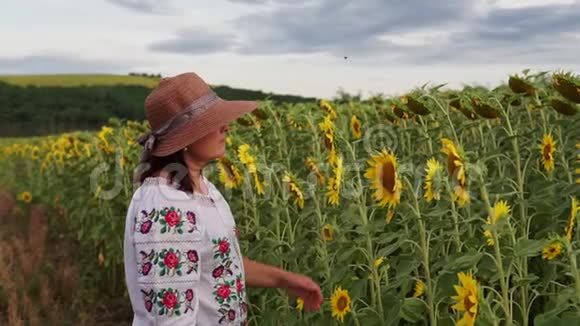 戴着帽子的年轻美女带着高大的向日葵穿过田野视频的预览图