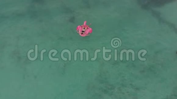 在粉红色火烈鸟充气床垫上漂浮的女孩视频的预览图