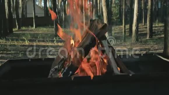篝火在烤架上靠近视频的预览图
