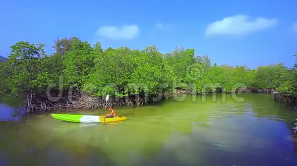 运动员在红树林运河中航行海上皮艇视频的预览图