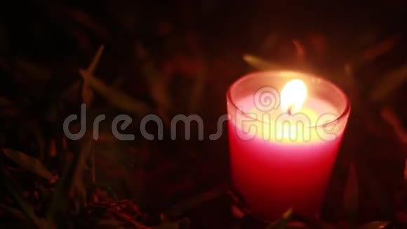 蜡烛在夜晚燃烧在丛林里视频的预览图