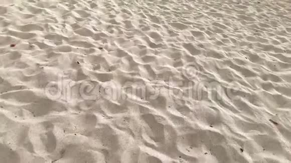 海边沙滩上的脚印视频的预览图