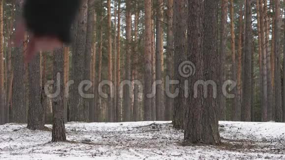 那个人在冬天的树林里迷路了随机选择运动方向视频的预览图