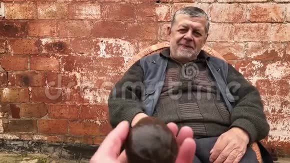 乌克兰资深农民头一次在柳条椅子上仔细审视鳄梨哈斯视频的预览图