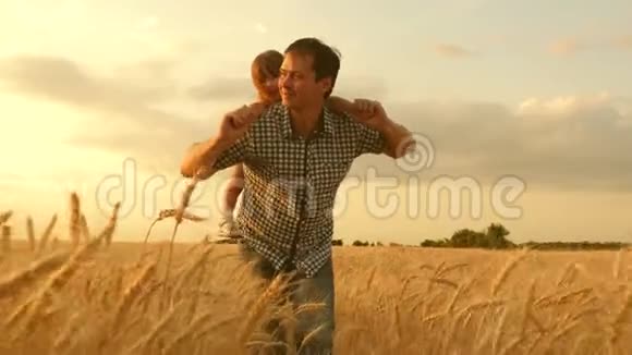 父亲肩上的女儿快乐的孩子和父亲正在一片成熟的麦子里玩耍小男孩和爸爸旅行视频的预览图