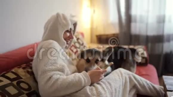 幸福微笑的女人在家沙发上漫步她可爱的威尔士科尔吉狗的肖像视频的预览图
