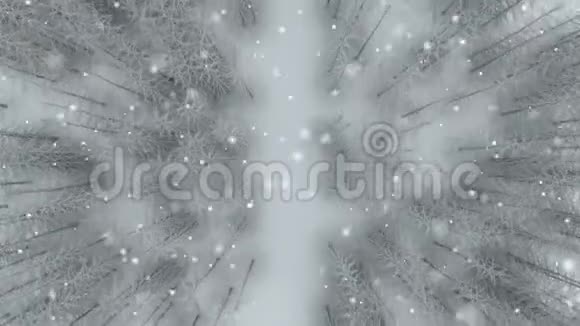 在树林里下雪视频的预览图